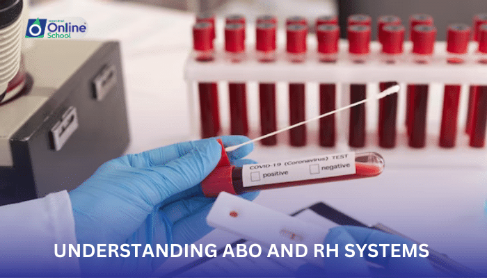 Lesson  07: Blood Typing: Understanding ABO and Rh Systems
